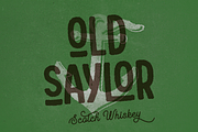 Peterson, a Sans Serif Font by Larin Type Co. (Thumbnail 9 of 11)