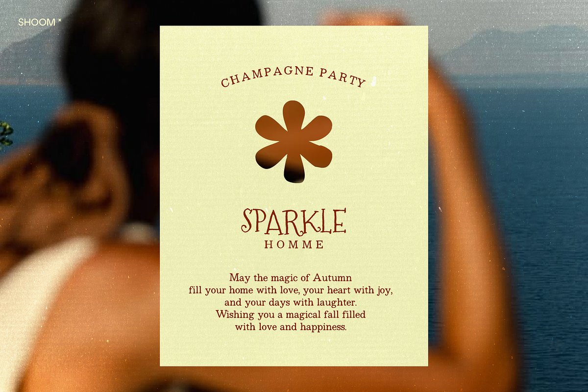 Whimsy Times: Organic Serif Family, a Serif Font by SHOOM HOUSE (Photo 12 of 13)