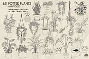 Potted Plants Line Art + Procreate, an Object Illustration by Skliarova (Thumbnail 2 of 4)
