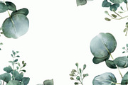 99 Frames of green leaves, a Nature Photo by Handmadefont (Thumbnail 47 of 100)