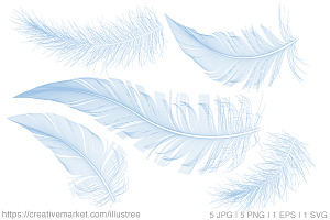 Blue feathers