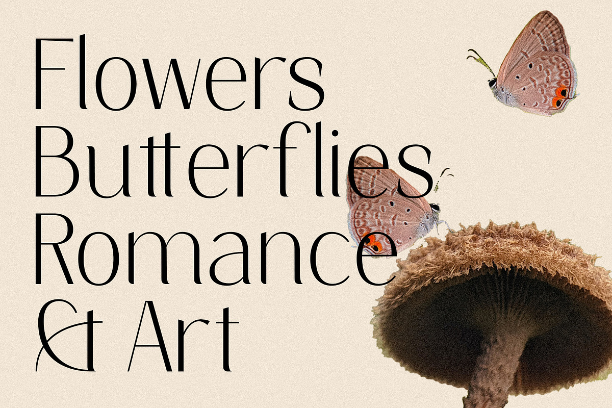 Elio & Oliver Ultra Light Sans Serif, a Sans Serif Font by SilverStag Type Foundry (Photo 11 of 11)