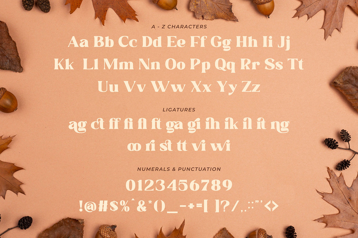 Quails | A Modern Display Serif, a Serif Font by Andrimada Creative (Photo 11 of 13)