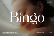 Bingo Modern Serif Font