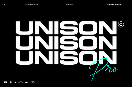 Unison Pro, a Sans Serif Font by TypeJuice™