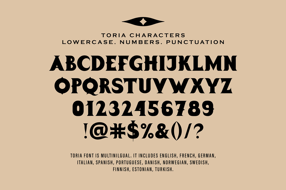 Toria Bohemian Decorative Serif Font, a Serif Font by Struvictory.art (Photo 6 of 9)