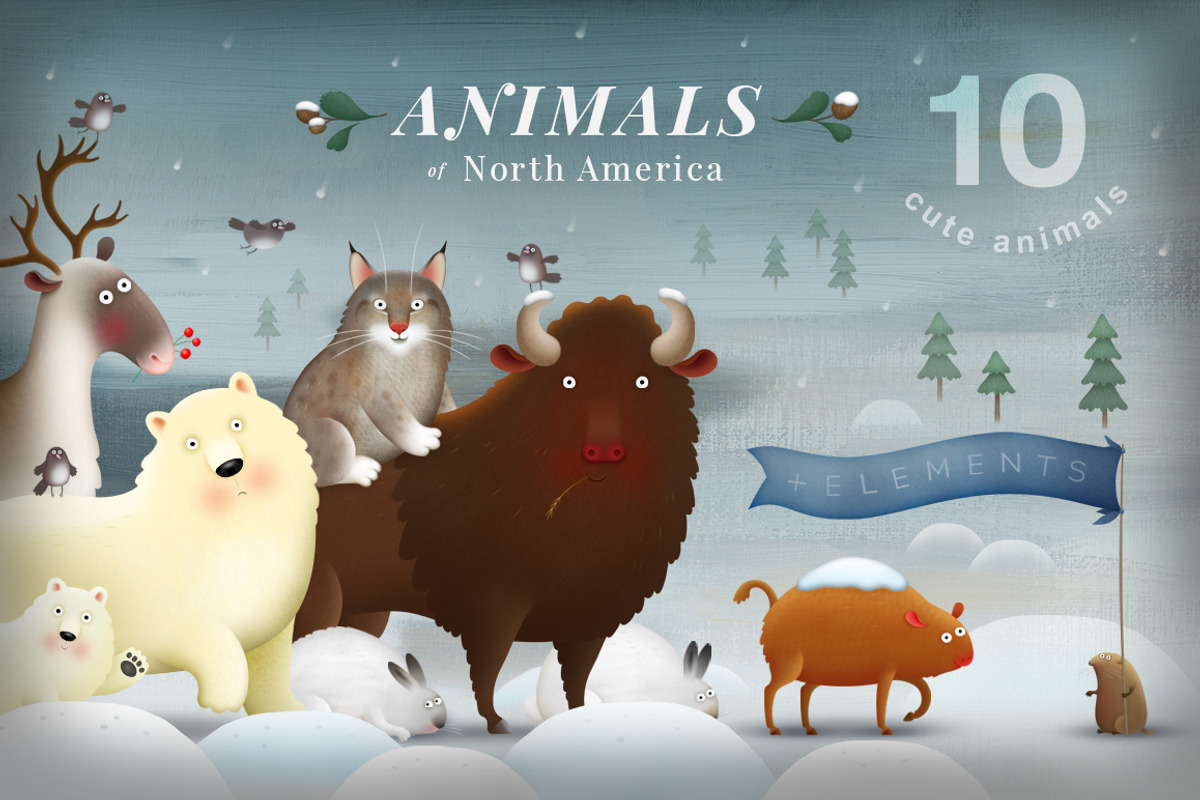 Animals of North America bundle, an Animal Illustration by CosyPic (Photo 1 of 7)