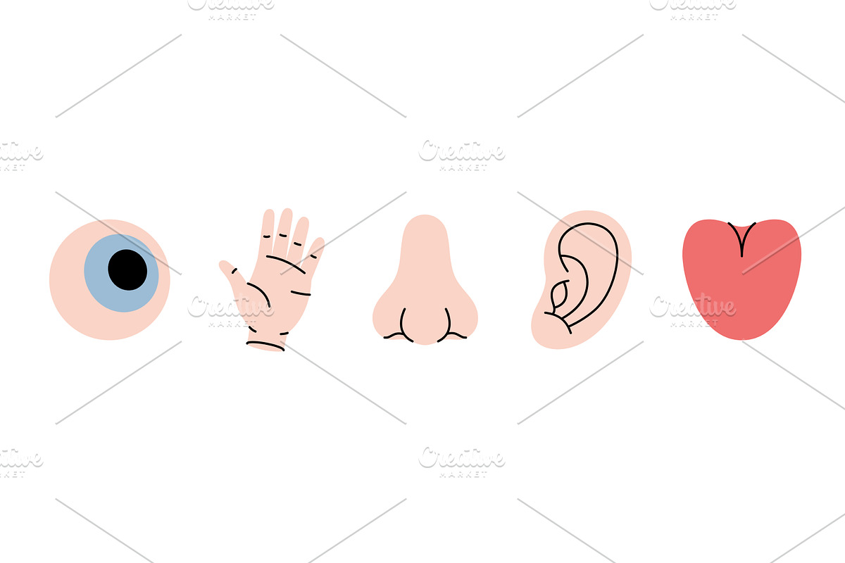 Five human senses. Vision, smell, an Object Illustration by GraphiShop