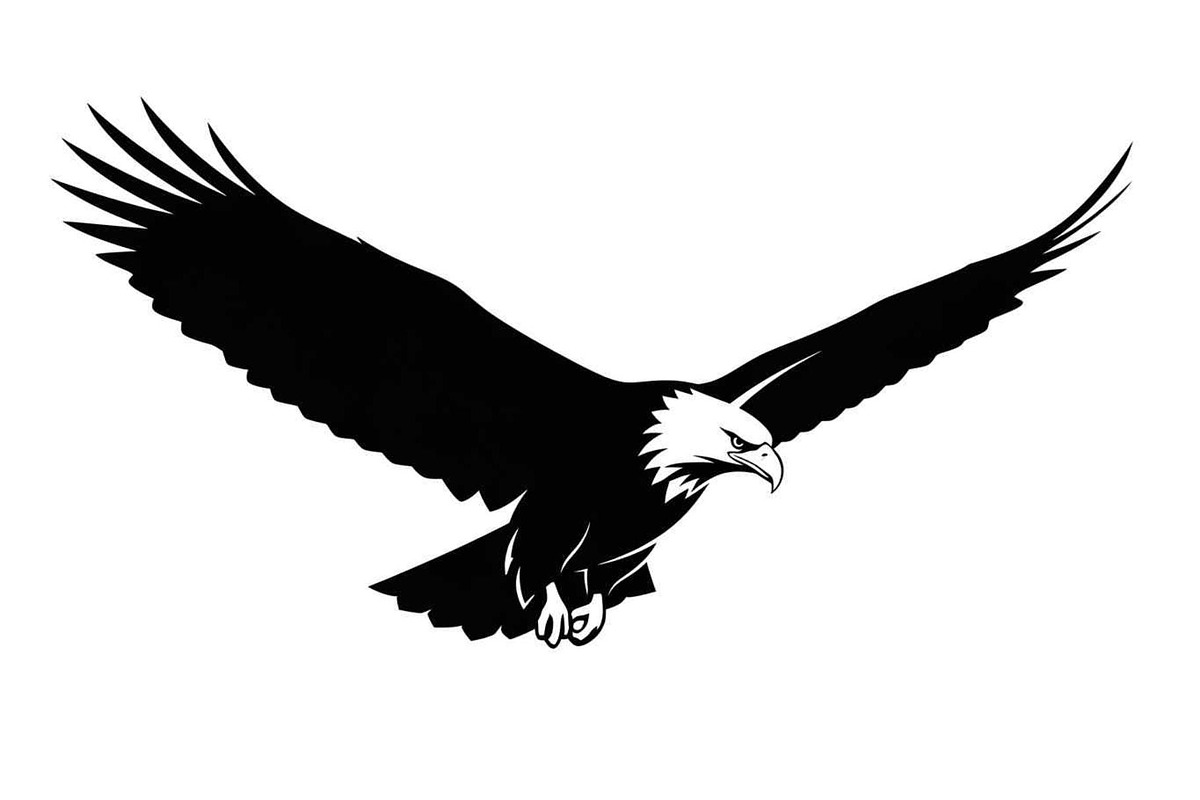 50 Flying Eagle Silhouette Vector Bu, an Illustration by Designs_River (Photo 22 of 51)