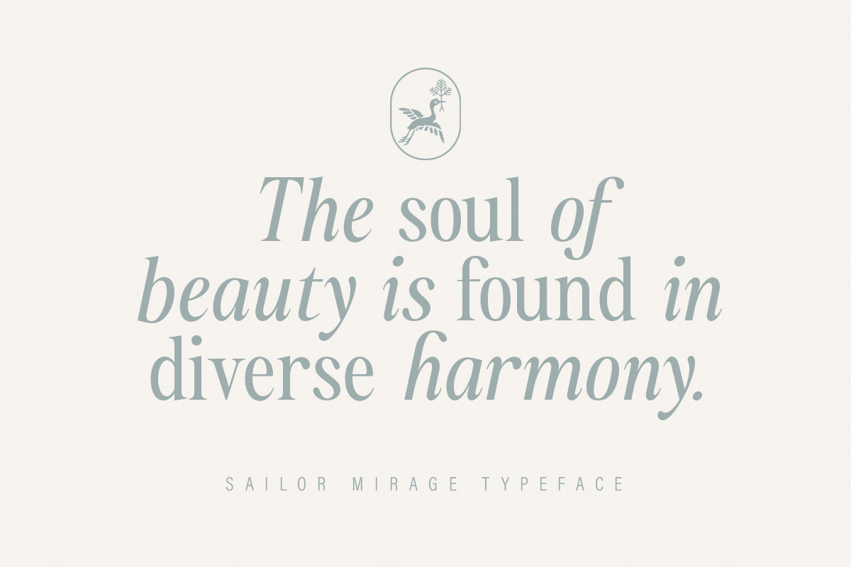 Sailor Mirage | 16 Fonts, a Serif Font by Skinny Type (Photo 4 of 15)