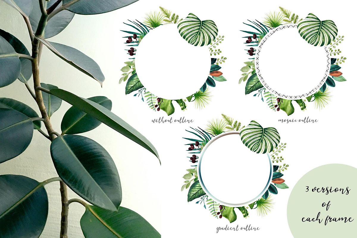 Tropical leaves old pharmacy bottles, an Illustration by marie dricot (Photo 4 of 12)