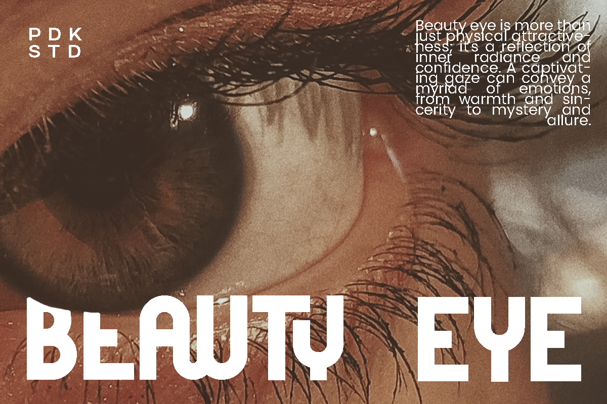 Tyllon - Bold Ligature Sans Serif, a Sans Serif Font by Pandeka Studio (Photo 5 of 12)