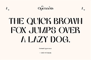 Quessera Font, a Sans Serif Font by Oui Studio (Thumbnail 3 of 21)