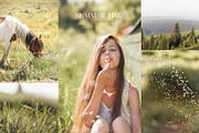 200 Summer Stock Photo Aesthetic, a Photo by Allure Art (Thumbnail 19 of 34)