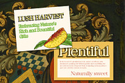 Harnold 3D, a Serif Font by Craft Supply Co. (Thumbnail 7 of 8)