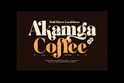 Migillay Elegant Serif Display Font, a Serif Font by Elegant Font (Thumbnail 2 of 8)