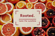 Clockwise sans serif font, a Sans Serif Font by Ana's Fonts (Thumbnail 7 of 12)