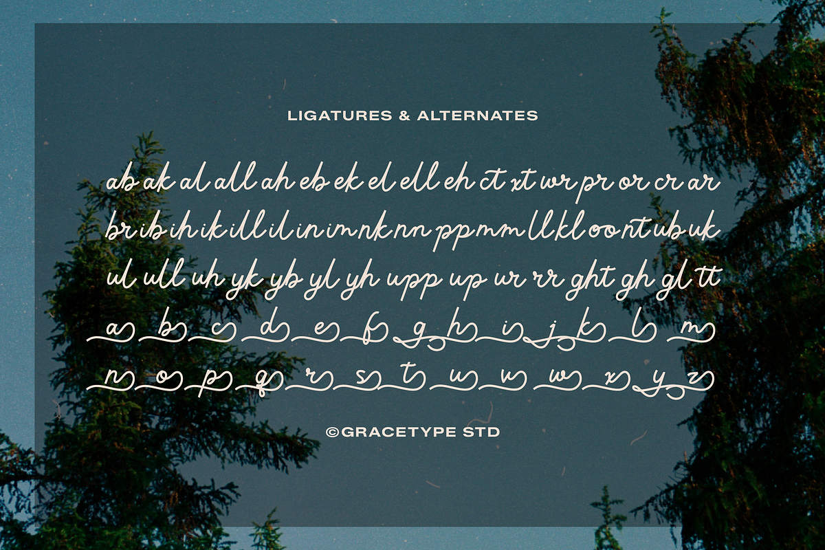 Lubiedo | Monoline Script, a Script Font by gracetype_studio (Photo 11 of 12)