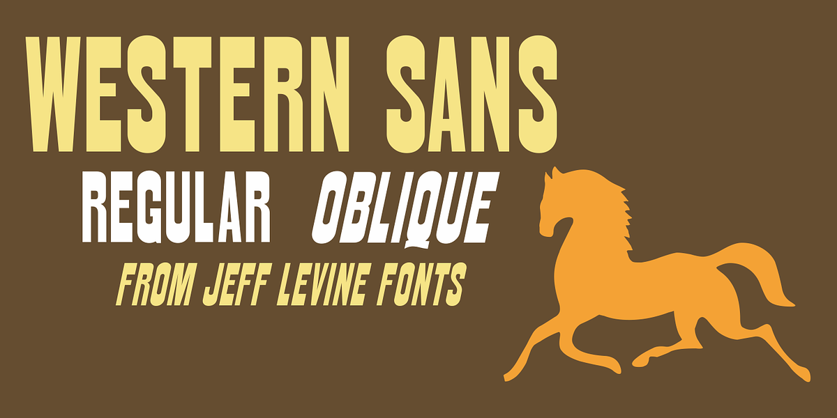 Western Sans JNL, a Sans Serif Font by Jeff Levine Fonts (Photo 1 of 5)