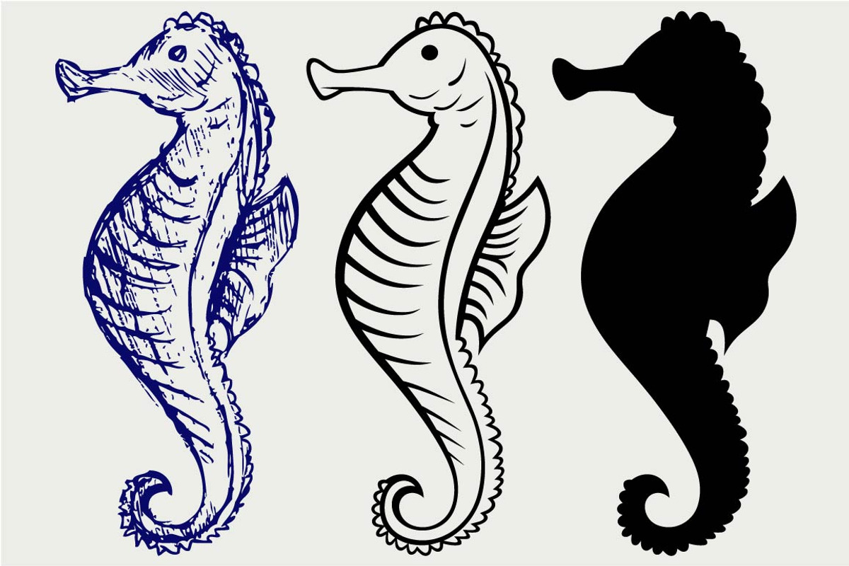 Cartoon Seahorse SVG, an Icon by LineworkStock