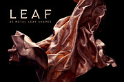 Leaf: 65 Metal Leaf Shapes, an Object Graphic by RuleByArt (Thumbnail 1 of 19)