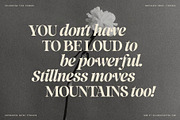 La Mystere - Editorial Serif Font, a Serif Font by SilverStag Type Foundry (Thumbnail 19 of 30)