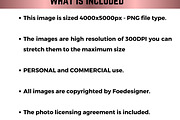 African American Glam Stock Photo, a Beauty & Fashion Photo by Foedesigner (Thumbnail 3 of 3)