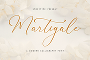 Martigale A Modern Calligraphy Font, a Script Font by Storytype Studio (Thumbnail 1 of 12)