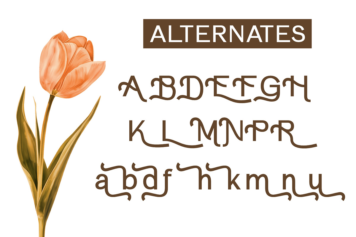 Elemendy, a Sans Serif Font by Rishsketch (Photo 10 of 12)