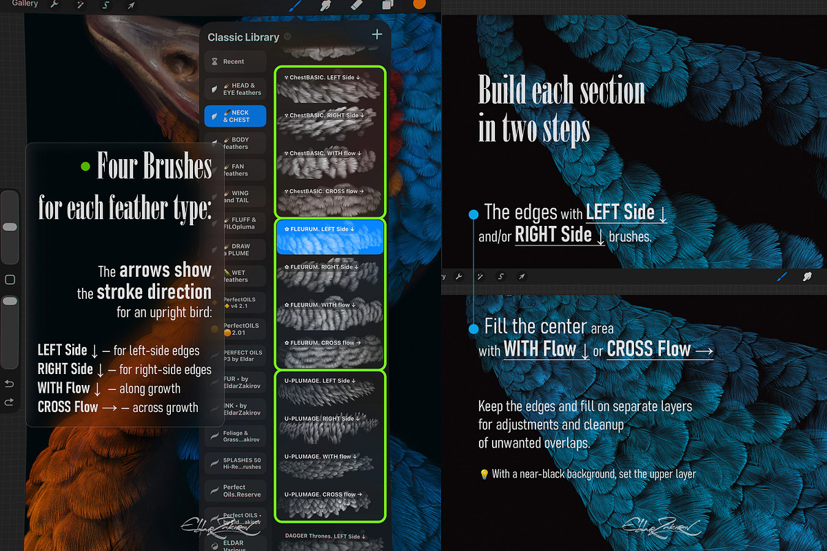 Plumage Atelier. Procreate Brushes, a Brush Add-On by Eldar Zakirov's (Photo 8 of 25)