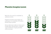 Farming Keynote Template, a Presentation Template by Jumsoft (Thumbnail 11 of 21)
