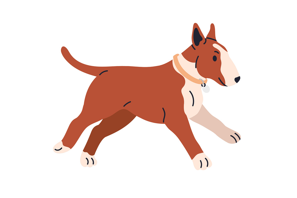 Cute dogs of different breeds set, an Animal Illustration by Good Studio (Photo 3 of 7)