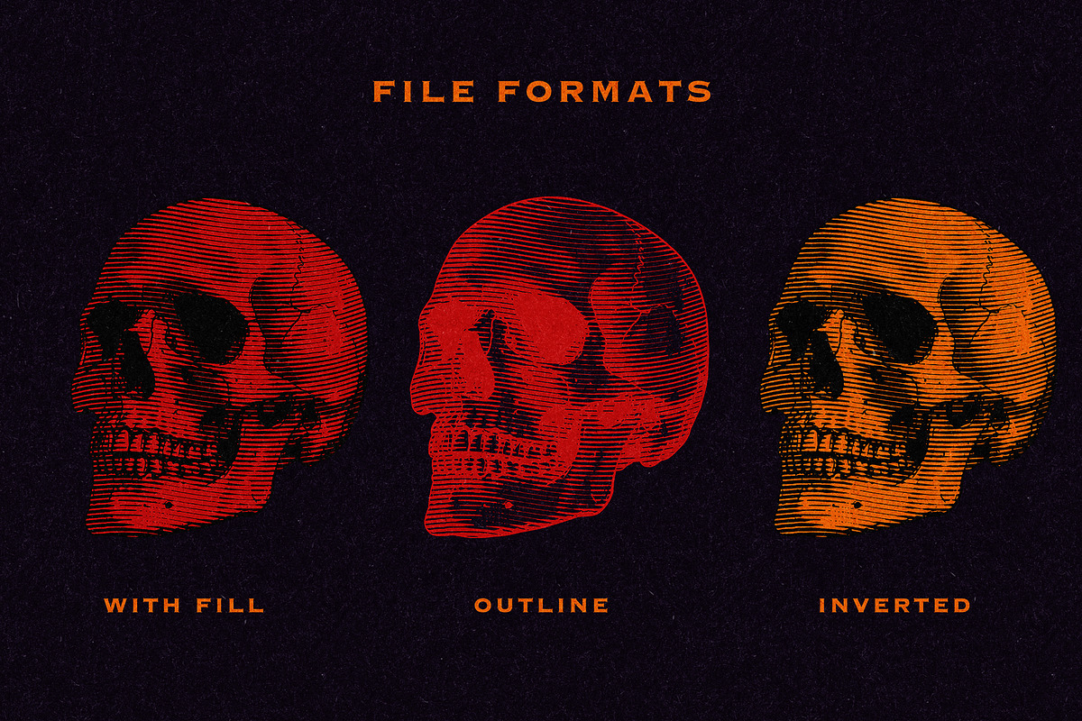 Vintage Skull Engraving Collection, an Object Illustration by Kaizla03 (Photo 2 of 5)