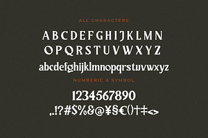 Regano Qingsta - Vintage Serif Font