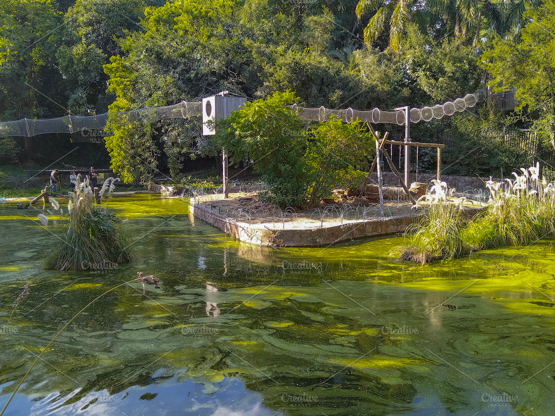 Animal habitat surrounded by pond at villa dolores zoo park, mon, a Nature Photo by DanFLCreativo