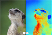 Thermography LUTs - Version 2, a Plug-in Add-On by Raztrend (Thumbnail 9 of 30)