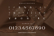 The Lencier Modern Luxury Font, a Serif Font by Rasio Studio (Thumbnail 3 of 10)