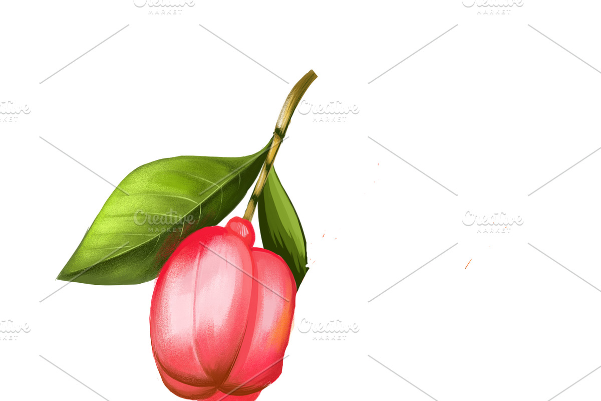 Ackee Print, Jamaican Kitchen Art, a Food Illustration by Dneprstock (Photo 3 of 4)