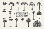 Vintage Palm Tree Vector Bundle, an Object Illustration by Seaquint (Thumbnail 1 of 5)