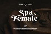 Perfina - Stylish Elegant Serif Font, a Serif Font by Font Liner (Thumbnail 8 of 10)