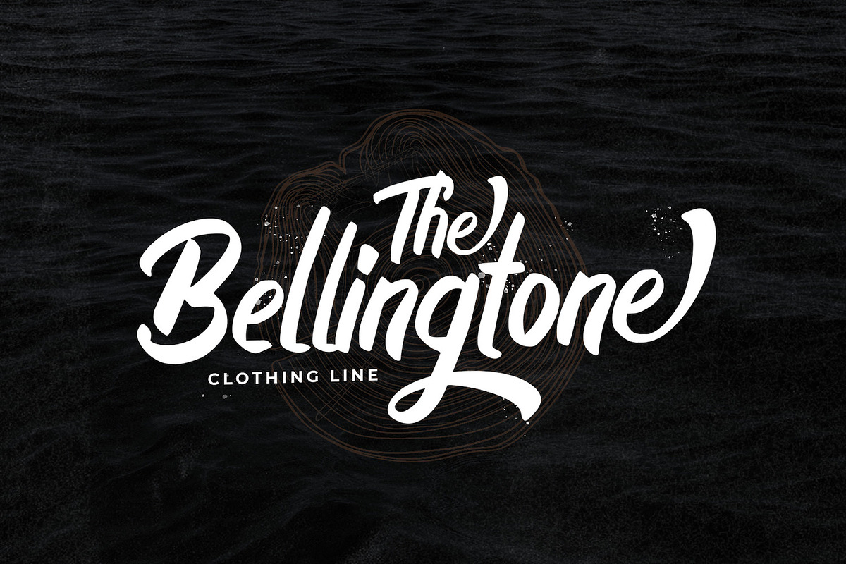 Boyna - Bold Script Font, a Script Font by StringLabs (Photo 3 of 14)