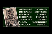 OLIEVA - bonus poster, a Font by Bagerich Type Foundry (Thumbnail 5 of 15)