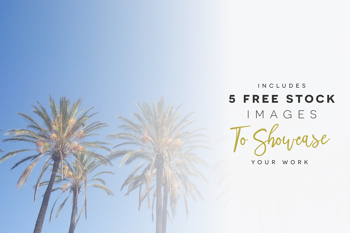 Premium Font Bundle, a Script Font by Flycatcher Design (Photo 23 of 140)