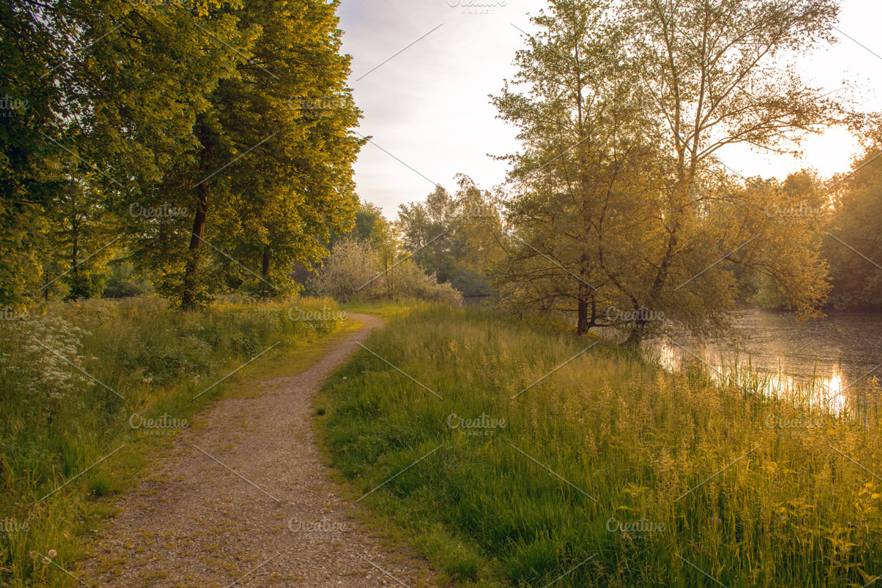 Walk containing nature, walk, and moment, a Nature Photo by SarahJ