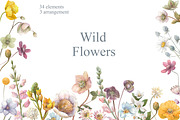 Watercolor Wild Summer Flowers., an Illustration by yulia.sukhanova (Thumbnail 1 of 5)