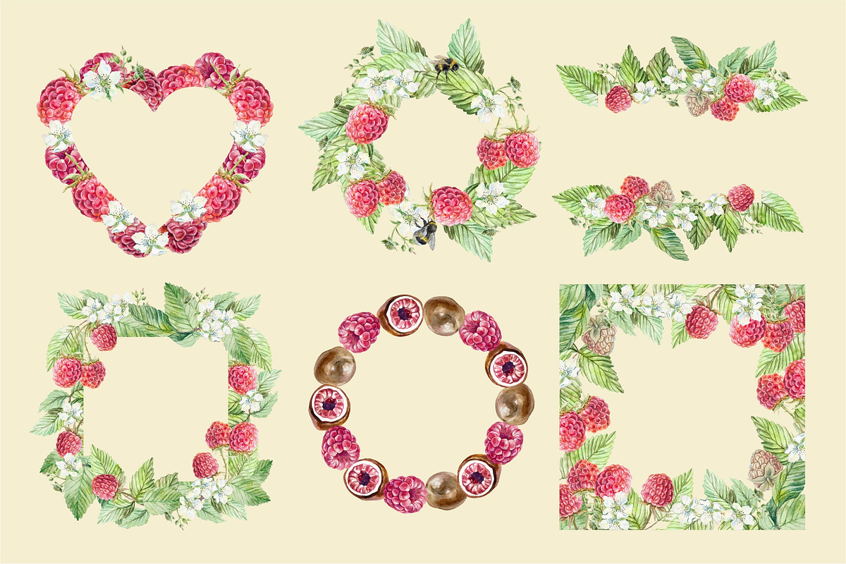 Raspberry. Watercolor Clip Art, a Food Illustration by Farida Bik (Photo 6 of 11)