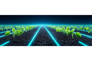 In warm sunlight, fertile soil, a Nature Photo by ZinetroN