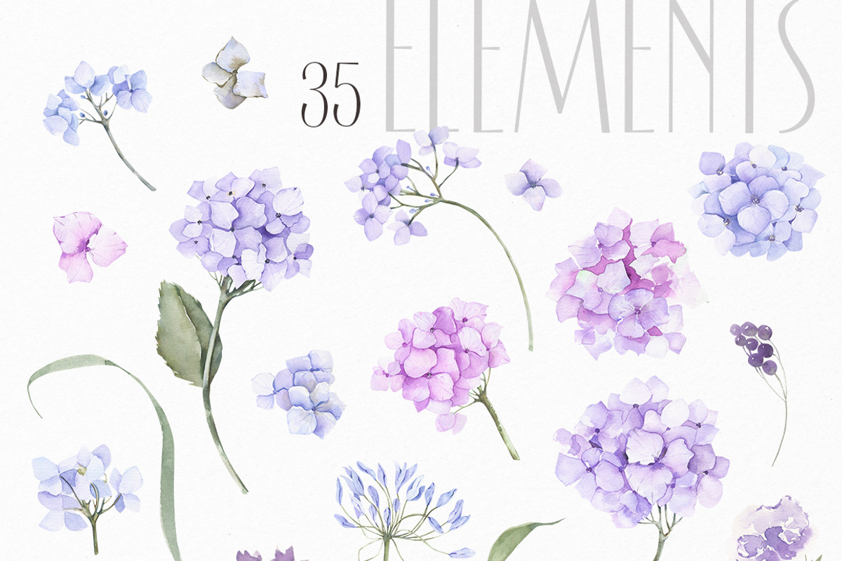 Hydrangea inspiration watercolor set, an Object Illustration by ArtMaslyana (Photo 3 of 8)
