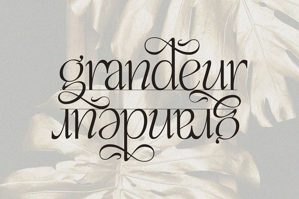 Enlighten - Aesthetic Serif Font, a Serif Font by Inviline.co (Photo 7 of 16)
