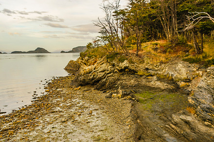 Lapataia river coast, tierra del fuego park, argentina, a Nature Photo by DanFLCreativo
